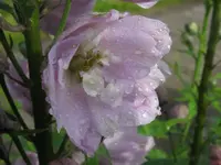 IMG_5752_1024x768.webp