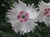 IMG_5754_1024x768.webp