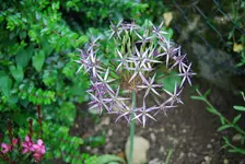 DSC_0031.webp