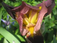 062.webp