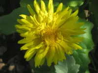 067.webp