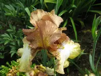 IMG_5756_1024x768.webp