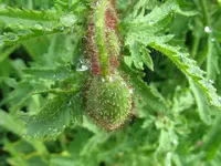 IMG_5757_1024x768.webp