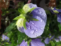 IMG_5759_1024x768.webp