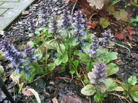DSCF3361.webp