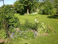 Garten Mai7 048.webp