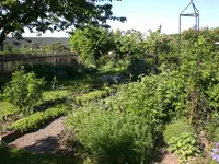 Garten Mai7 047.webp
