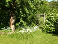 Garten Mai7 046.webp