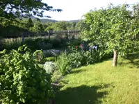 Garten Mai7 044.webp