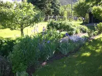 Garten Mai7 020.webp