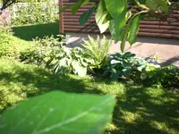 Garten Mai7 025.webp