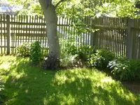 Garten Mai7 028.webp