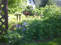 Garten Mai7 014.webp