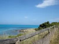 Sardegna II.webp