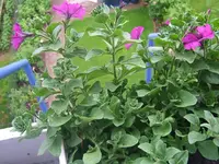 DSCF3404.webp