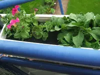 DSCF3405.webp
