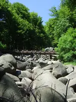 felsenmeer.webp