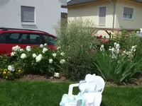 Weiße Pfingstrose + Gras.webp