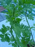 DSC01047.webp