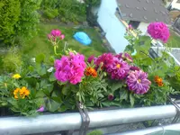 DSC01048.webp