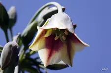 blog_7691.webp
