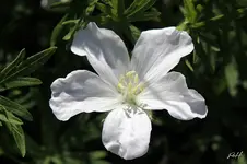 blog_7703.webp