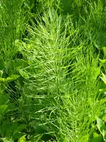 016.webp