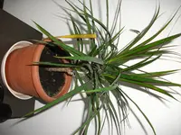 DSCF4427.webp
