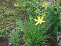 07.06.2010 003.webp