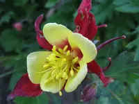IMG_5799_1024x768.webp