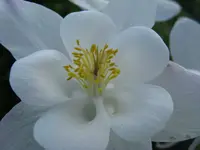 IMG_5801_1024x768.webp