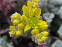 IMG_5833_1024x768.webp