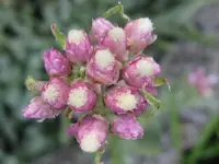 IMG_5834_1024x768.webp