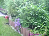 Seitenstreifen.webp