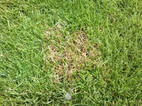 Bild1.webp