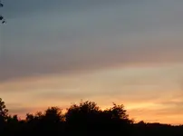 P1030935.webp