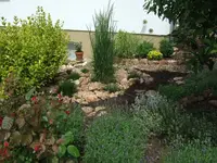 Lavendel+Thymian.webp