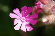 DSC_5378.webp