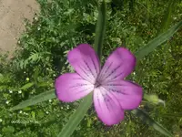 HPIM4585.webp