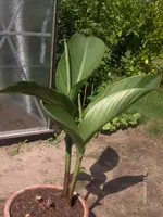 HPIM4565.webp