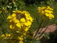 HPIM4564.webp