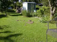 Foto0327.webp