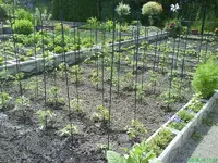 Garten 006 [800x600].webp