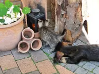 DSC06609.webp