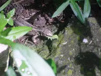 08.06.2010 032.webp