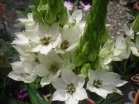 08.06.2010 043.webp