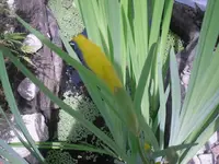 08.06.2010 055.webp