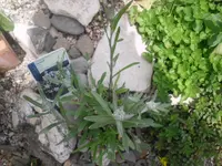 08.06.2010 074.webp