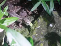 08.06.2010 033.webp