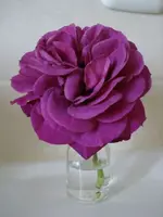 DSC01843.webp